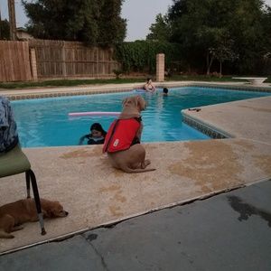 Meet your Posher, Tina